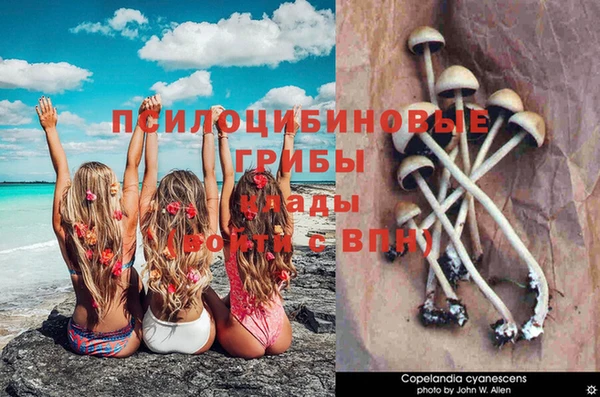 а пвп мука Абаза