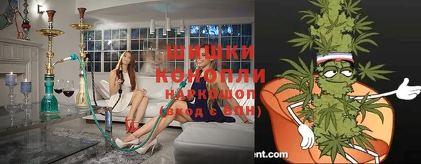 ПСИЛОЦИБИНОВЫЕ ГРИБЫ Валуйки