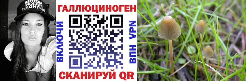 Галлюциногенные грибы Magic Shrooms  Карталы 