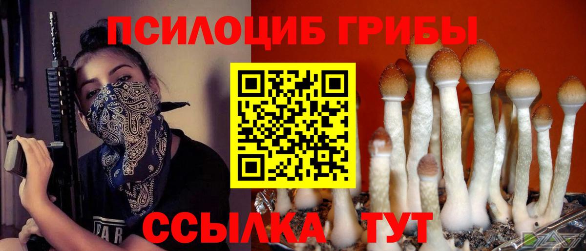 Галлюциногенные грибы мухоморы Карталы