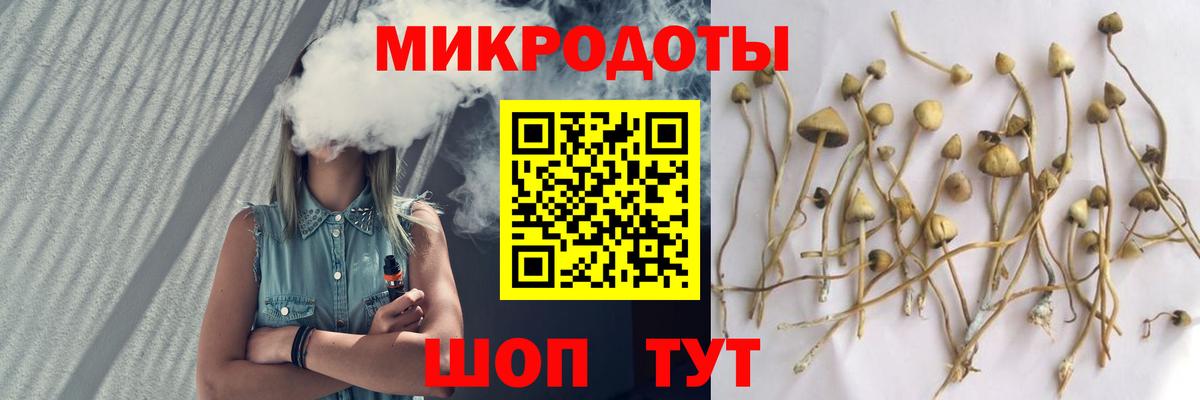 Псилоцибиновые грибы MAGIC MUSHROOMS  Вход с VPN  Карталы 